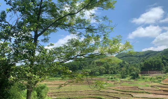 Bán đất tại xã Lỗ Sơn, Tân Lạc, Hòa Bình diện tích 1516,6m2 giá 750 triệu