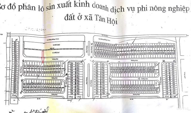 Bán cắt lỗ ô đất 80m2 khu Trũng Vỡ, Tân Hội, Đan Phượng