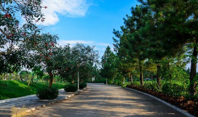 Cần bán biệt thự The Phoenix Garden 200m2, hướng ĐN, gần hồ, giá ưu đãi (miễn trung gian)