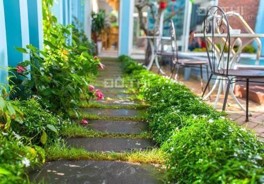Bán nhà biệt thự, liền kề tại Phường Cẩm An, Hội An, Quảng Nam diện tích 200m2 giá 16 tỷ