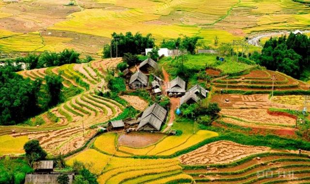 Chính chủ bán mảnh đất hơn 6000m2 tại xã Tả Phìn, Thị Xã Sapa Lào Cai, giá bán hơn 3 tỷ