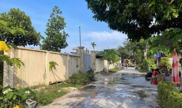 Chính chủ gửi bán 2 lô liền nhau đường 8m tại Lương Quán - Nam Sơn. LH: 0793252087