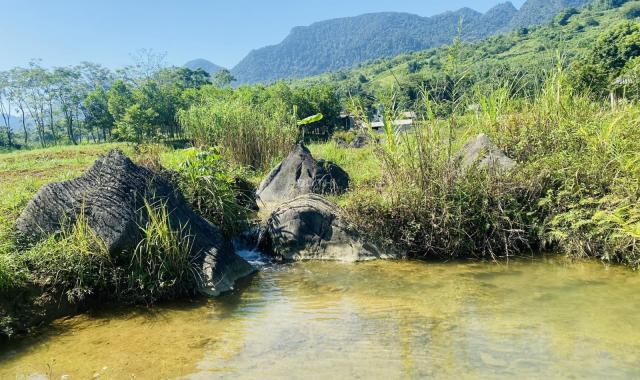 Quá đẹp để nghỉ dưỡng không nên bỏ lỡ 1800m2 Phú Cường, Tân Lạc, Hoà Bình giá cực rẻ