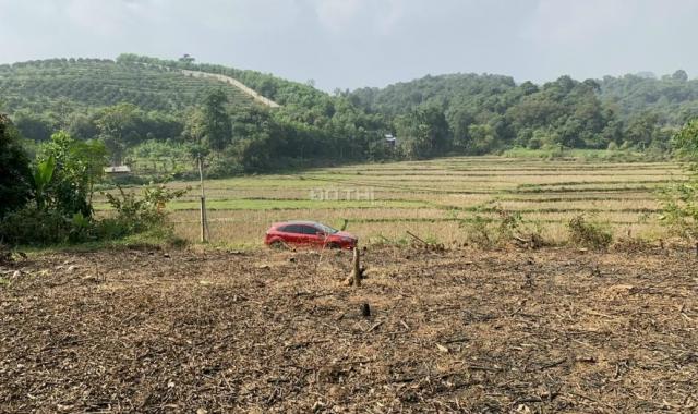 Bán đất Lương Sơn, Hòa Bình 1232m2 full thổ cư, view cánh đồng cao thoáng