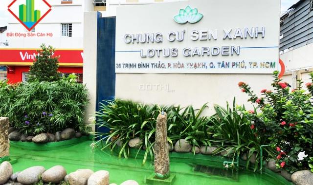 Cho thuê căn hộ Lotus Garden - Trịnh Đình Thảo, DT 78m2, 3 PN, đủ nội thất 11.5tr/th 0903154701