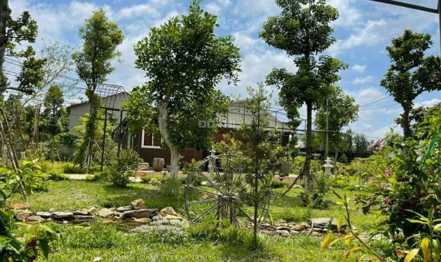 Siêu đẹp homestay trục chính Suối Mơ có suối view cánh đồng tại Ba Vì, L/H: 0974715503