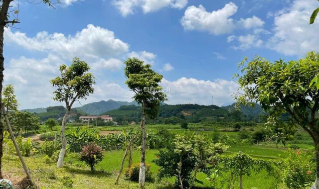 Siêu đẹp homestay trục chính Suối Mơ có suối view cánh đồng tại Ba Vì, L/H: 0974715503