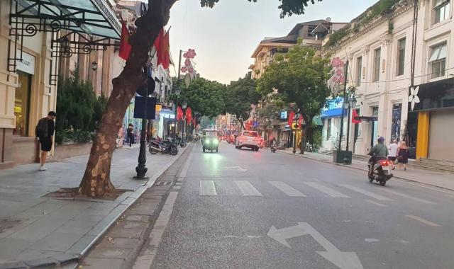 Cực hiếm, mặt phố Tràng Tiền, Hoàn Kiếm, 268m2, MT 5m giá 250 tỷ. LH: 0366051369