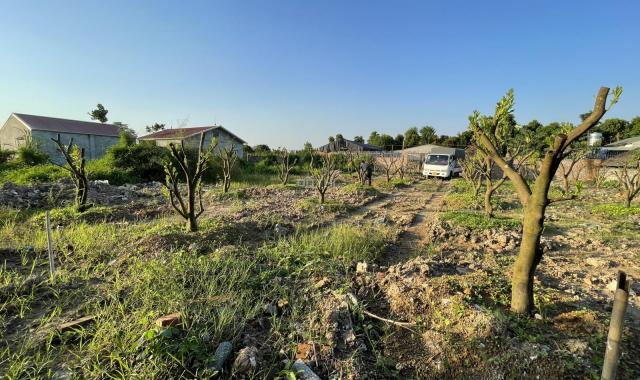 Bán đất tại đường 421B, Xã Cấn Hữu, Quốc Oai, chốt cuối năm khuyến mại 40 triệu/1 lô
