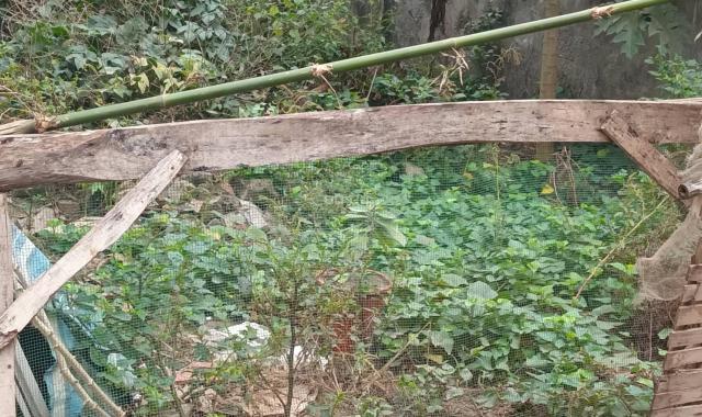 Bán đất Yên Nghĩa Hà Đông ô tô đỗ cổng 36m2 chỉ 1,28 tỷ LH 0966598554