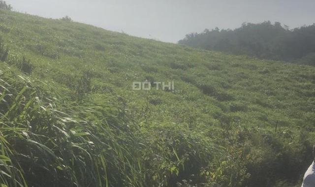 Bán 100ha đất rừng SX siêu bằng phẳng ở Đà Bắc - Hòa Bình 0983074966