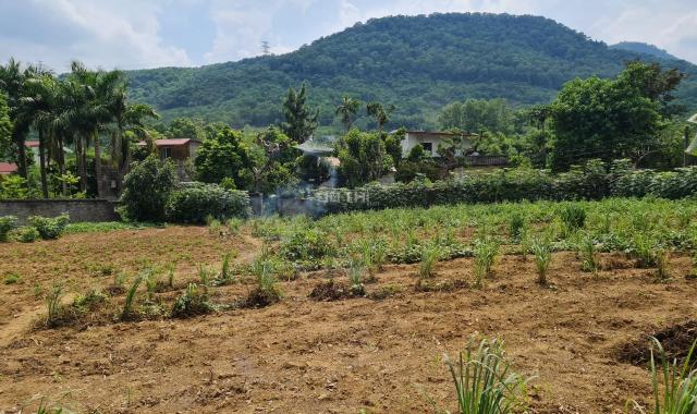 Chính chủ bán đất tại Lương Sơn, Hòa Bình, hợp làm khu du lịch sinh thái, xưởng sản xuất chỉ 3tr/m2