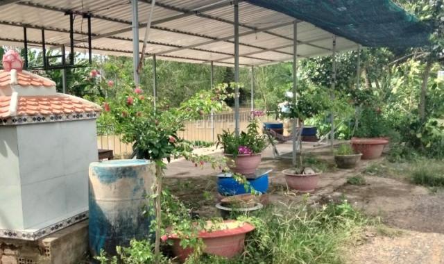 Chính chủ bán đất tặng nhà MT ngay gần QL80 - Lấp Vò