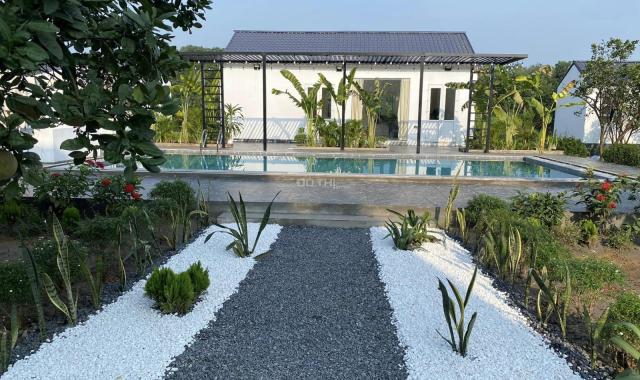 580m2 thổ cư đất mặt tiền đường nhựa 20m gần biển Hồ Tràm - Vũng Tàu