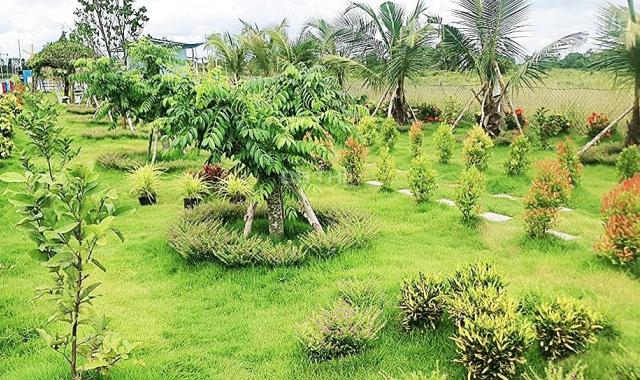 Bán gấp nhà vườn nghỉ dưỡng đẹp mộng mơ, Tân Thành, Thủ Thừa, Long An. 1000m2 giá ngộp 2.2 tỷ TL