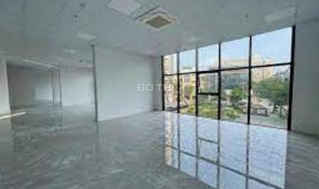 Cho thuê văn phòng 115m2 440 m2 tòa nhà Chelsea Park Trung Kính - Cầu Giấy - Hà Nội