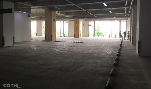Cho thuê văn phòng 115m2 440 m2 tòa nhà Chelsea Park Trung Kính - Cầu Giấy - Hà Nội