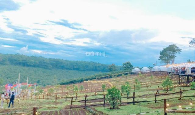 Chính chủ cần bán gấp lô đất 500m2 tại thị trấn Lộc Thắng, mặt tiền ĐT 725, SHR view rừng thông