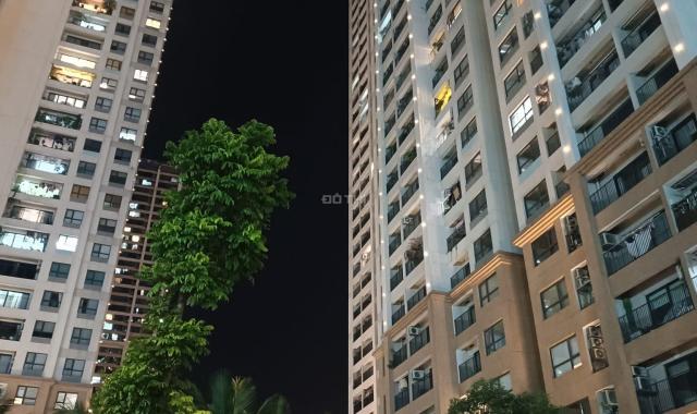 Cần bán căn hộ chung cư cao cấp D'Capitale 110 Trần Duy Hưng 39m2 giá 1.95 tỷ