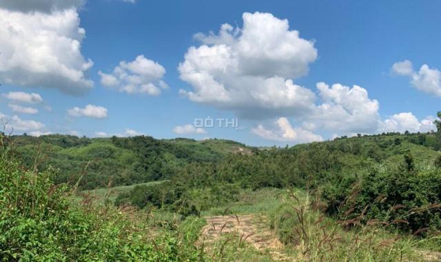 Bán 1,4ha đất vườn Huyện Sông Hinh - Phú Yên giá chỉ 550 triệu (LH 0906359868)