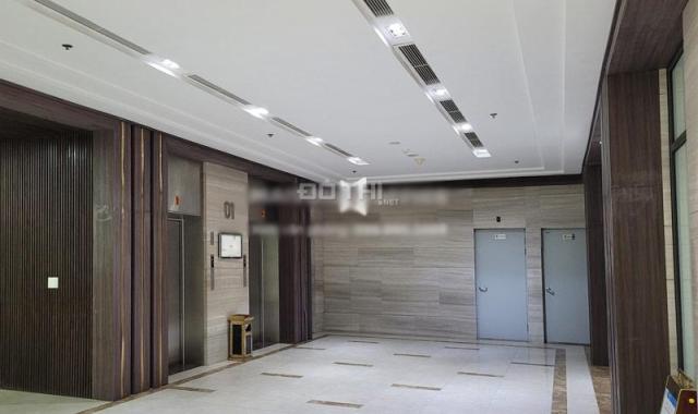 BQL tòa nhà Mỹ Đình 2 Plaza đang cho thuê duy nhất sàn VP với DT 245m2 bàn giao trần, thảm