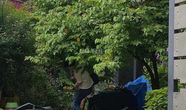Cho thuê nhà riêng 3 tầng An Dương Vương, ô tô để trước cửa, đẹp như ảnh