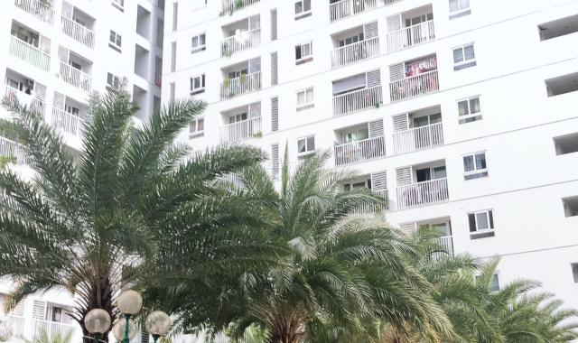 Chung cư Tara Residence 85m2 2PN 2WC view hồ bơi thoáng mát 8,5tr/tháng