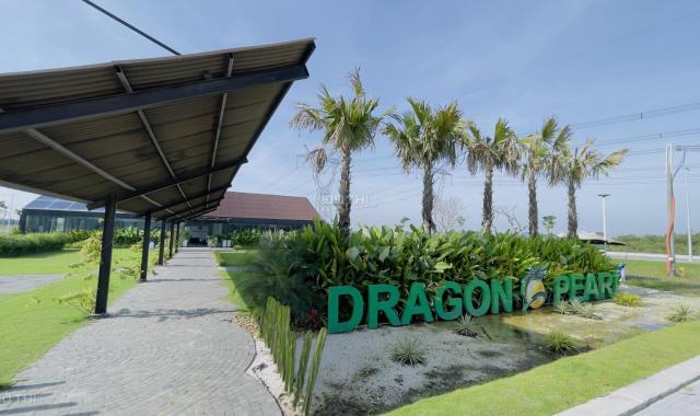 Cơ hội vàng trong làng đầu tư - Dragon Pearl
