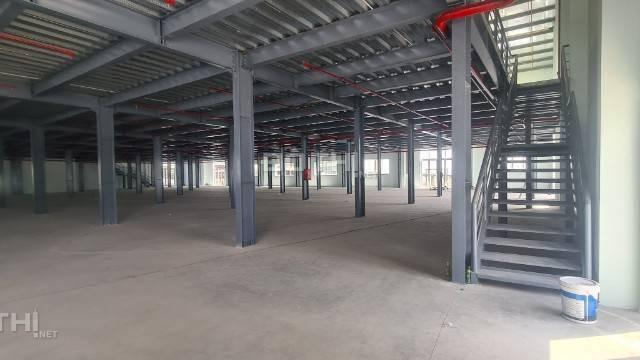 Cho thuê kho 6000m2 cụm KCN Hoàng Gia, Mỹ Hạnh Nam, Đức Hoà, Long An