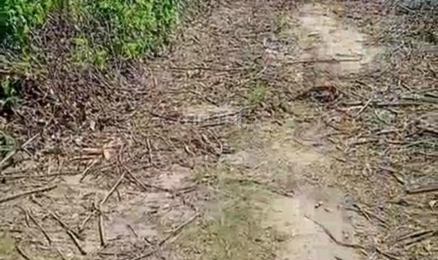 Mở bán 8 lô đất thuộc huyện M'Đrắk, tỉnh Đắk Lắk giá đầu tư chỉ 160tr/lô 2000m2 LH 0906359868