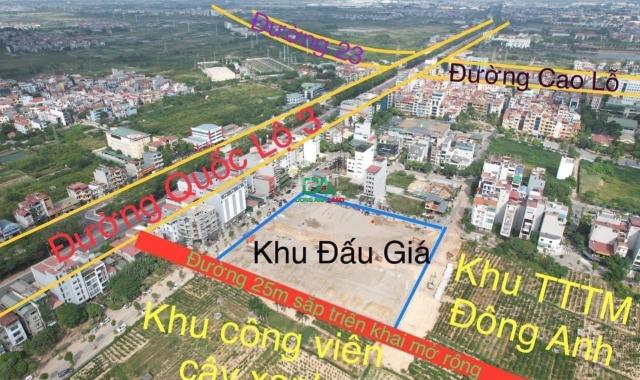 Đất đấu giá Vườn Đào Đông Anh 3ha kinh doanh - X7 Uy Nỗ