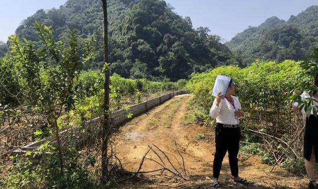 Duy nhất thửa giá rẻ thửa đất bám đường nhựa và là đường liên kết vùng từ Kim Bôi