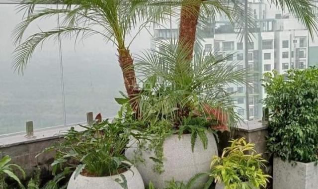Bán gấp nhà Minh Khai nội thất đẹp sân vườn 65m2 3 tỷ 850