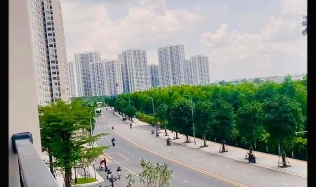 Các căn hộ cho thuê Vinhomes Grand Park Quận 9