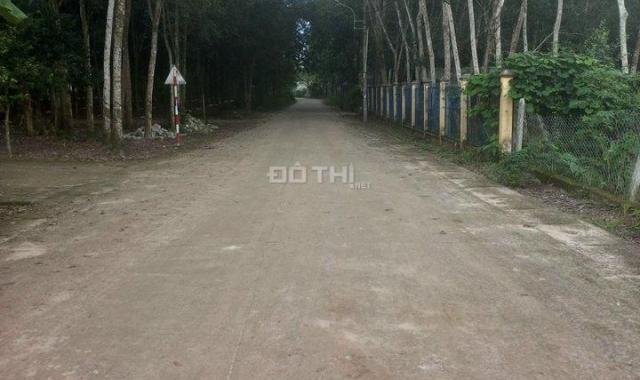 Chính chủ cần bán 4 miếng đất liền kề tại Xã Tân Hưng Huyện Bàu Bàng