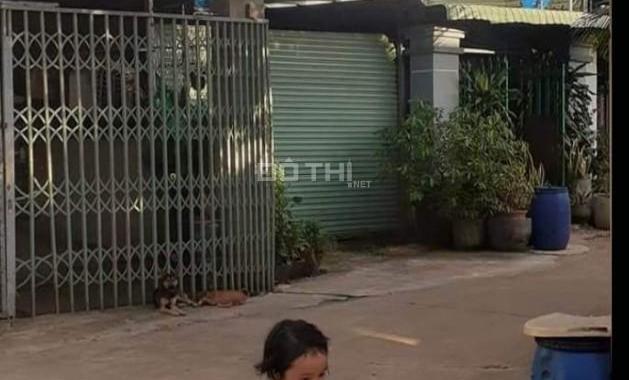 Tuyển chủ mới cho ngôi nhà yêu quý của mình ai hiền lành, hợp duyên về ở cho nhà ấm cúng nhé!