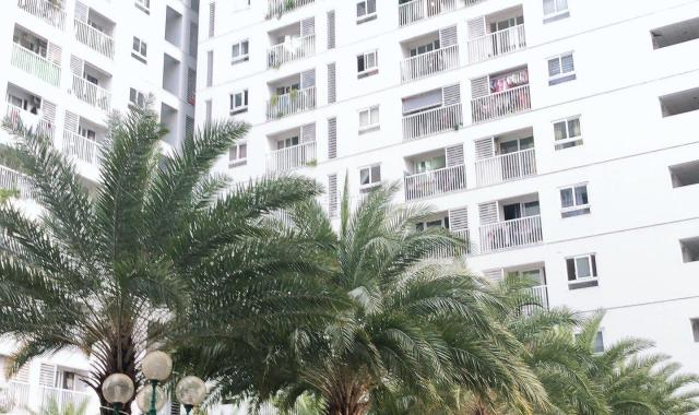 8tr/tháng - CC Tara Residence 1A Tạ Quang Bửu P6 Q8 Căn góc 2PN 68m2 view hồ bơi