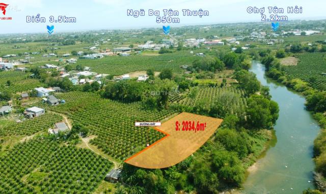 Hơn 2 sào đất gần biển MT Sông Phan - Huyện Hàm Thuận Nam giá ngộp