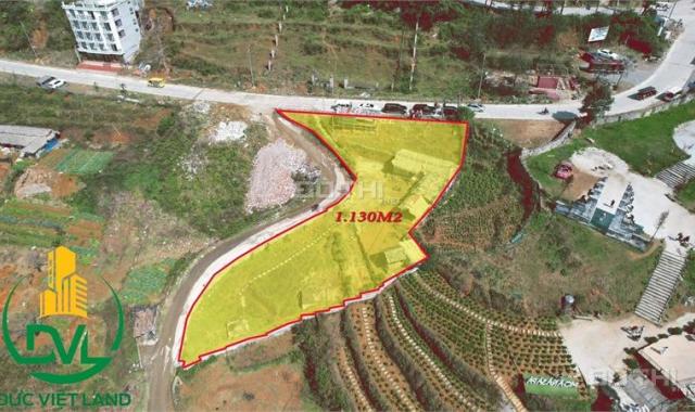 Bán đất tại đường Violet, Phường Sa Pa, Sa Pa, Lào Cai diện tích 1130m2 giá 10 triệu/m2