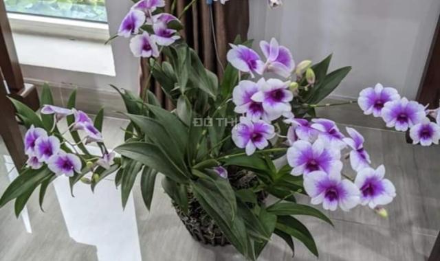 5 tỷ sở hữu ngay căn hộ 3PN 115m2 THE LINK Ciputra View sân GOLF siêu đẹp