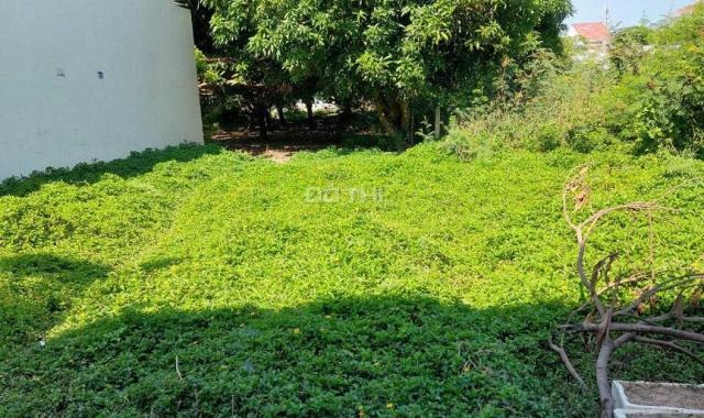 Hàng hiếm lô đất hẻm Cầu Dứa Phú Nông ngang 6,5m gần VĐT giá rẻ 1,82 tỷ