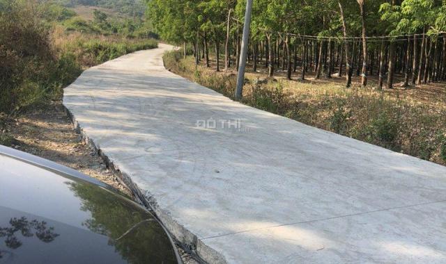 Chính chủ cần ra gấp 1004m2 đất tại Hớn Quản đường bê tông T6 lên 200m2 thổ cư giá 600tr 0909750300