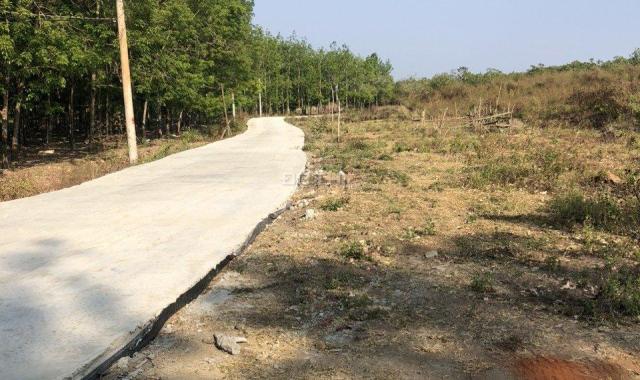 Chính chủ cần ra gấp 1004m2 đất tại Hớn Quản đường bê tông T6 lên 200m2 thổ cư giá 600tr 0909750300