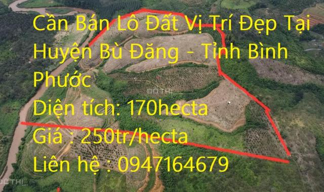 Bán đất tại Xã Phú Sơn, Bù Đăng, Bình Phước diện tích 170000m2