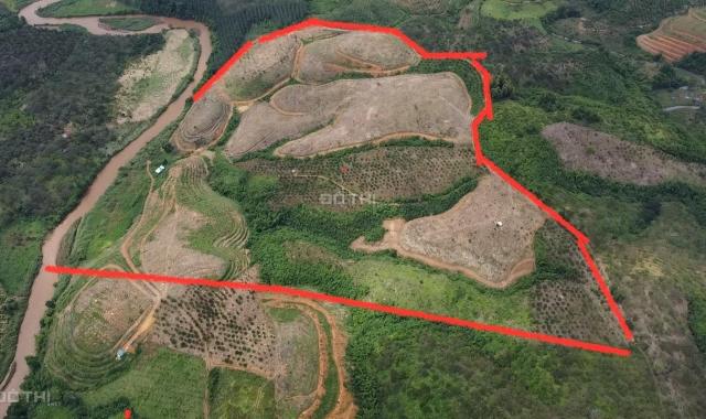 Bán đất tại Xã Phú Sơn, Bù Đăng, Bình Phước diện tích 170000m2