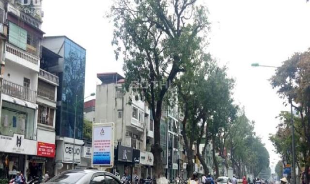 BÁN NHÀ LÔ GÓC MP KIM MÃ-BA ĐÌNH,KD VIP,VỈA HÈ RỘNG,DT 53M2,7 TẦNG, THANG MÁY,GIÁ 26.5 TỶ