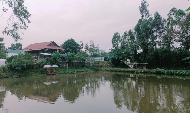 Bán đất tại Phường Vân Phú, Việt Trì, Phú Thọ diện tích 1500m2