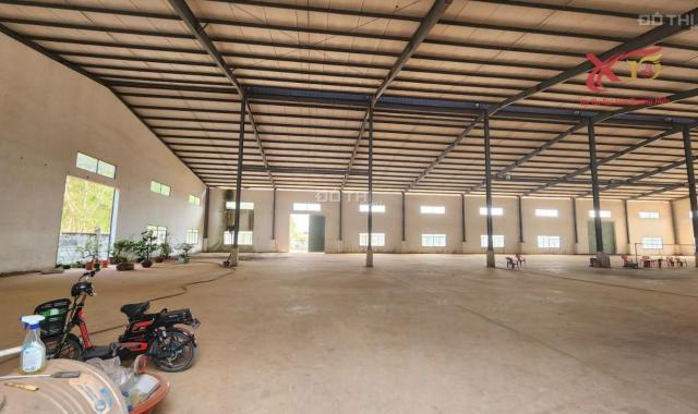 Bán nhà xưởng diện tích 52.000m2 ở gần Lộc An, Long Thành chỉ 150 tỷ