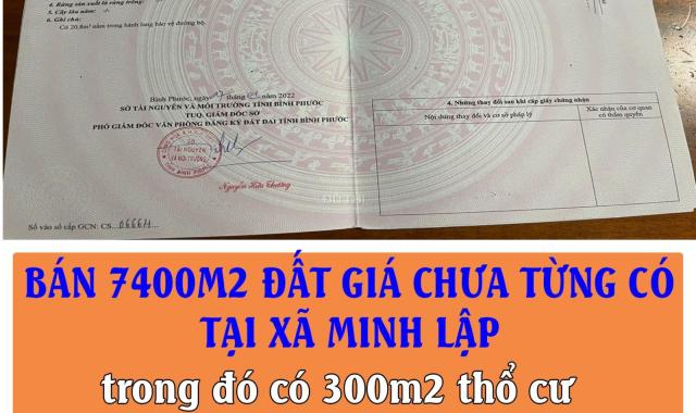 CHÍNH CHỦ BÁN 7400M2 ĐẤT GIÁ CHƯA TỪNG CÓ TẠI XÃ MINH LẬP