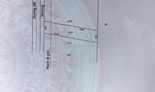 Bán gấp 163m2 đất Cát Tường Phú Sinh, Mỹ Hạnh Bắc, sổ hồng riêng, giá 1 tỷ 3